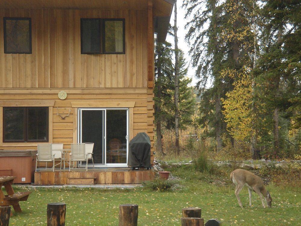 Kicking Horse Kabins Golden Buitenkant foto