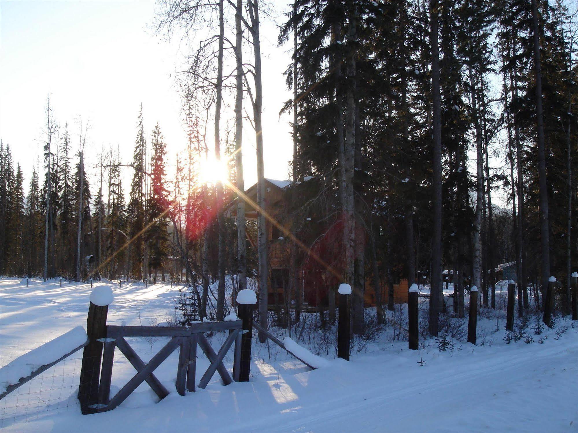 Kicking Horse Kabins Golden Buitenkant foto