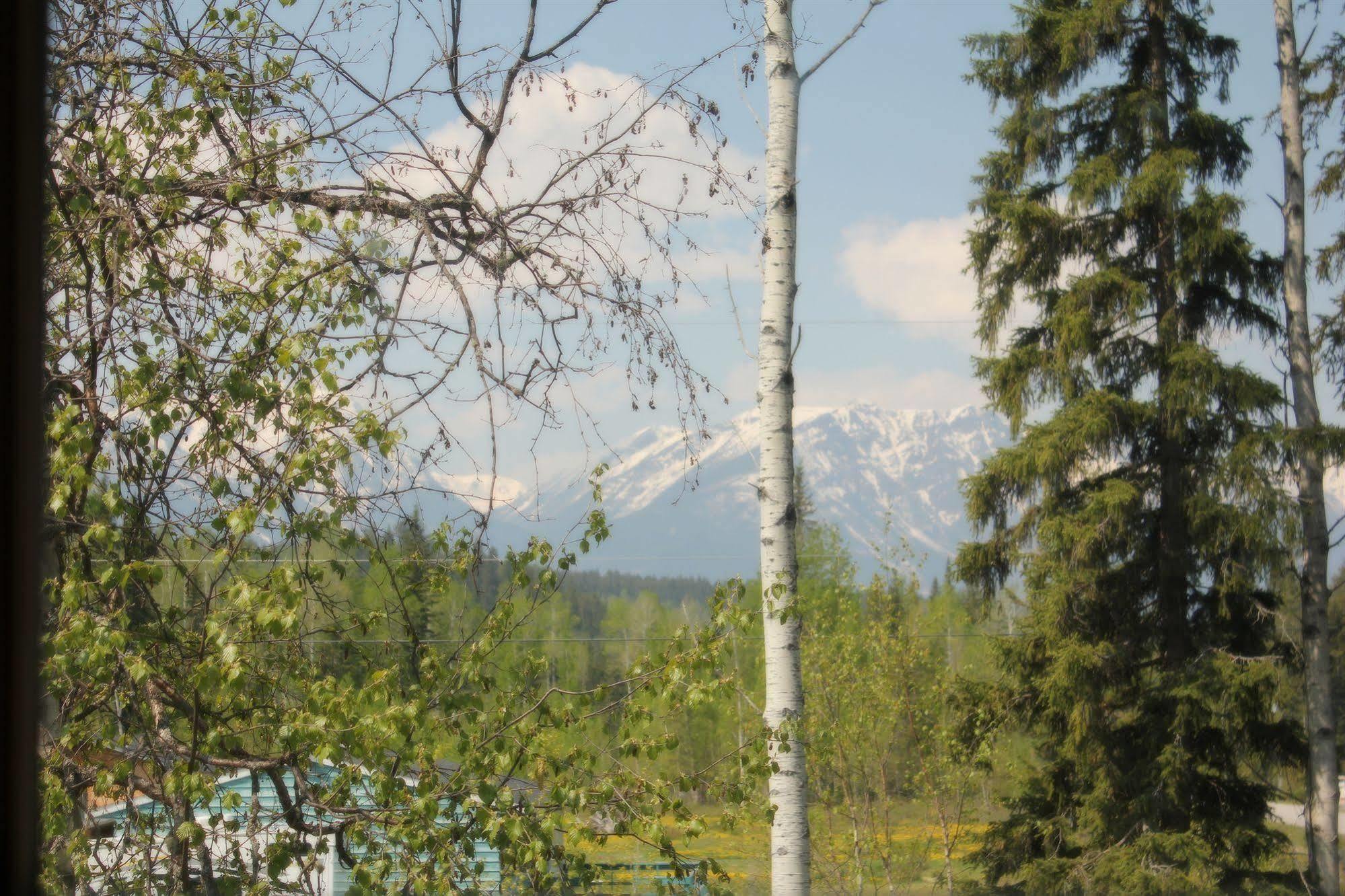 Kicking Horse Kabins Golden Buitenkant foto